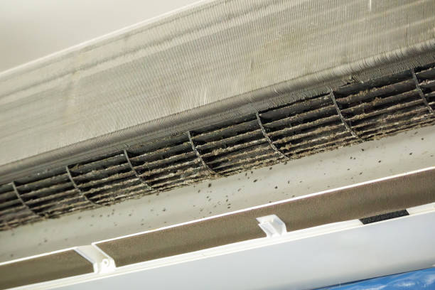 Best HVAC System Cleaning  in Greenwood, MO